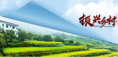 扎实推进乡村全面振兴