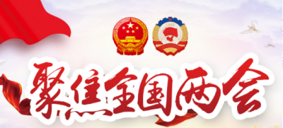 稳中促新，“抓手”与“后手”——2025 年全国“两会”解读